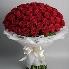 Букет 101 Красная роза Блэк Мэджик в Объячево