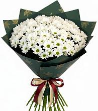 Букет цветов из:  Хризантемы в Объячево