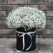Цветочная композиция из Гипсофила в шляпной коробке в Объячево